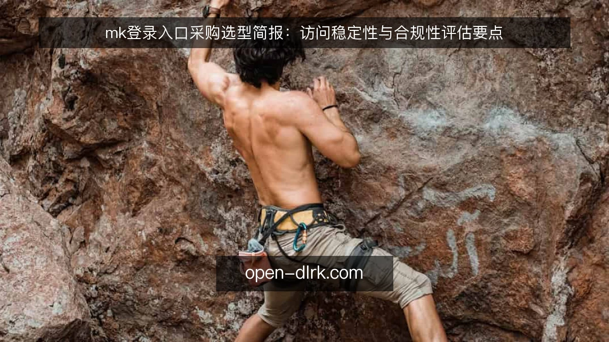 mk登录入口采购选型简报：访问稳定性与合规性评估要点