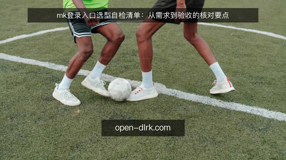 mk登录入口选型自检清单：从需求到验收的核对要点