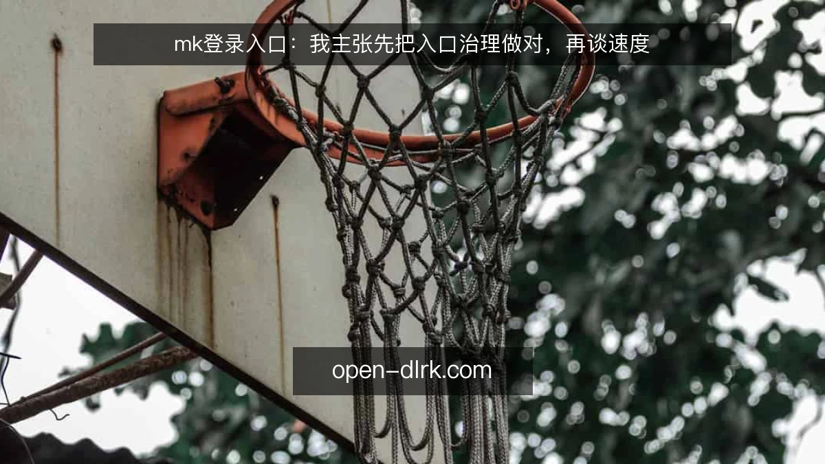 mk登录入口:我主张先把入口治理做对,再谈速度