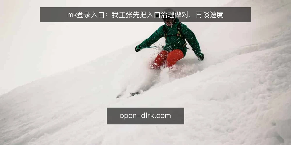 mk登录入口:我主张先把入口治理做对,再谈速度 — 入口失序的真实处境 配图