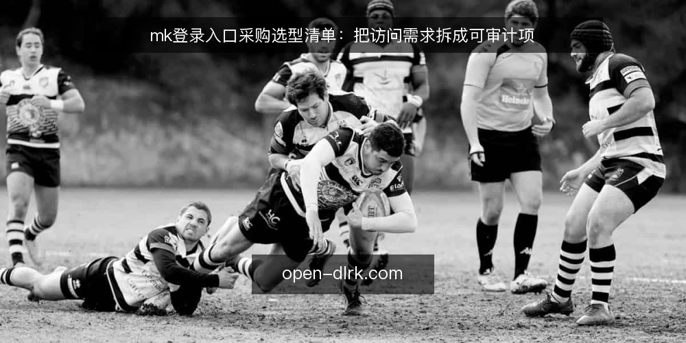 mk登录入口采购选型清单：把访问需求拆成可审计项 — 为什么现在要做一次选型审计 配图